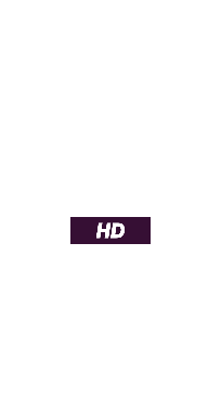 MTV HD