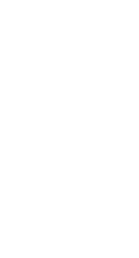 UFC ТВ