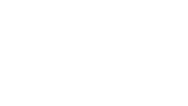 FOX HD