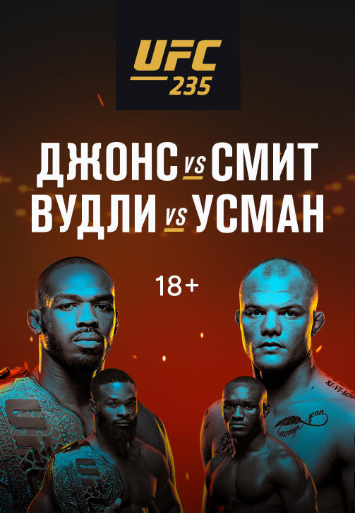 UFC 235