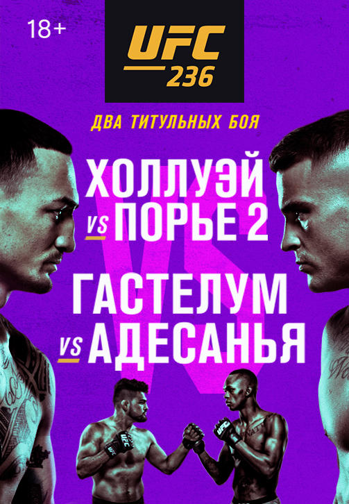 UFC 236
