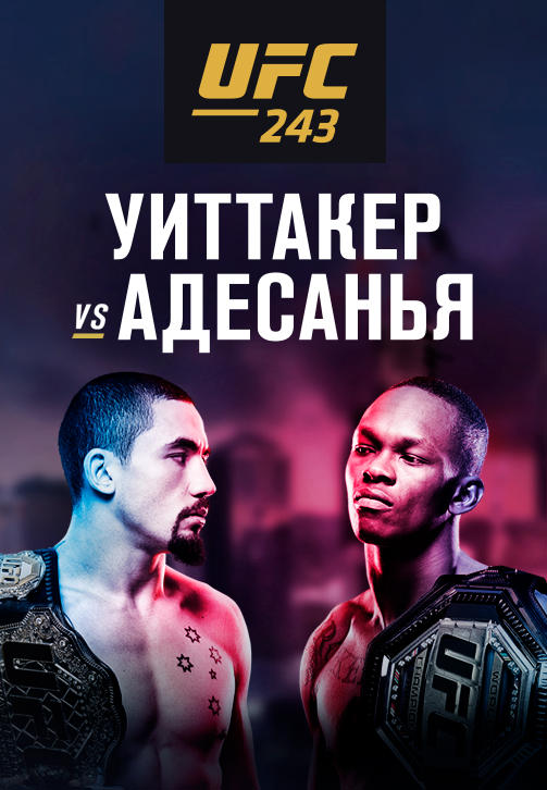 UFC 243